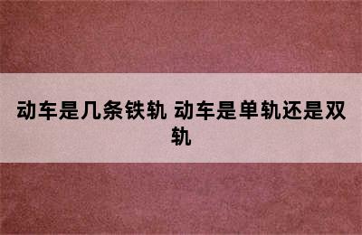 动车是几条铁轨 动车是单轨还是双轨